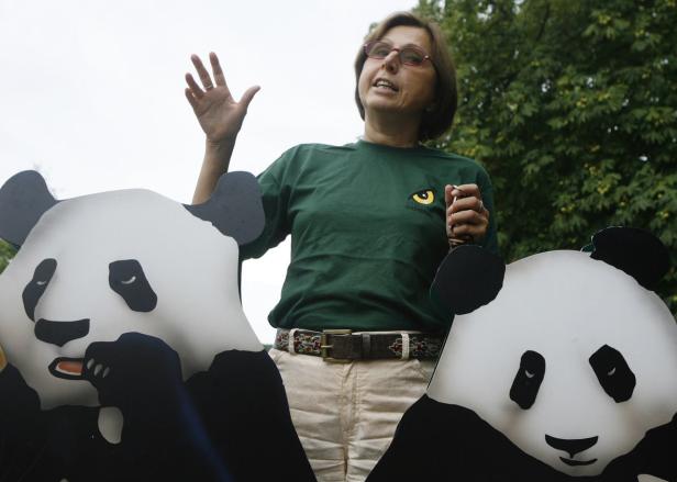 Eine Frau in einem grünen T-Shirt steht vor zwei Panda-Aufstellern und gestikuliert.