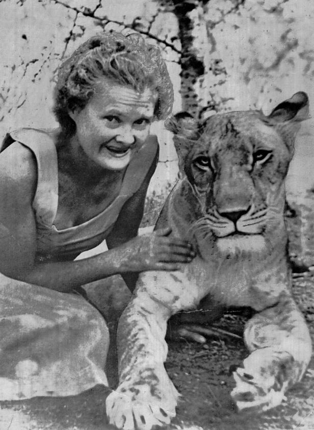 Eine Frau sitzt neben einem jungen Löwen und legt ihm die Hand auf den Rücken.