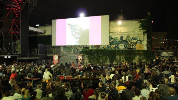 Eine Menschenmenge schaut bei einer Open-Air-Veranstaltung auf eine Leinwand, auf der eine Katze zu sehen ist.