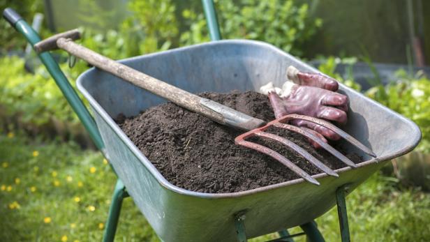 Eine Schubkarre ist mit Erde, einer Harke und Gartenhandschuhen gefüllt.