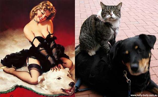 Ein zweiteiliges Bild: links eine Frau im Pin-up-Stil, rechts eine Katze, die auf einem Hund sitzt.