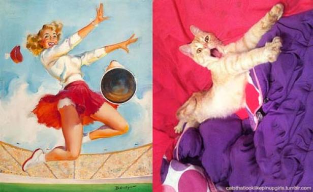 Gegenüberstellung eines Pin-up-Gemäldes und einer Katze in ähnlicher Pose.