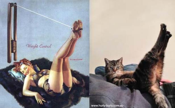 Ein Vergleich: Ein Pin-up-Bild zum Thema Gewichtsabnahme und eine Katze, die entspannt auf einem Sofa liegt.