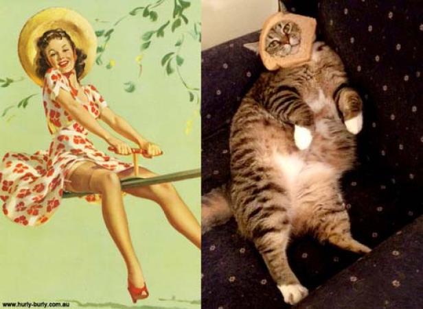 Ein Pin-up-Girl auf einer Wippe und eine Katze mit einem Toast auf dem Kopf.