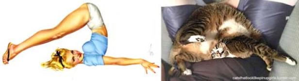 Ein Pin-up-Girl und eine Katze liegen in ähnlichen Posen da.