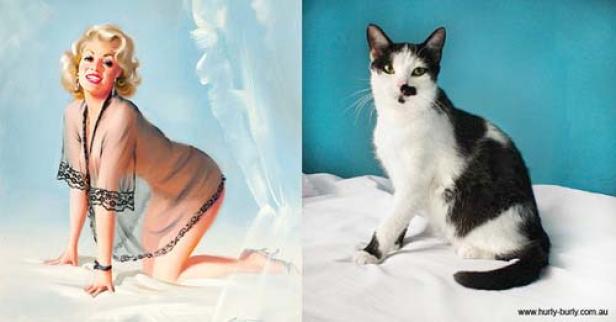 Ein zweiteiliges Bild zeigt ein Pin-up-Gemälde und eine schwarz-weiße Katze.