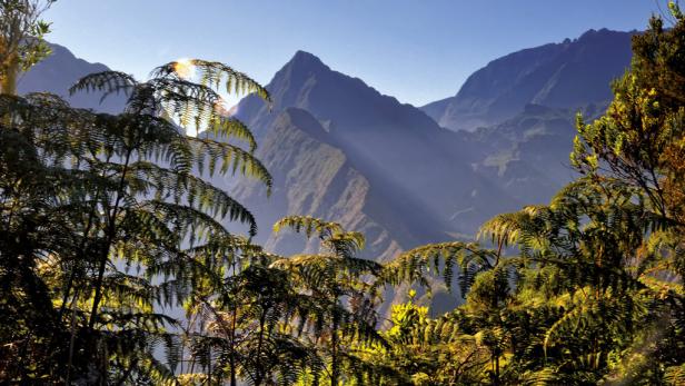 Insel La Réunion – Erlebe das Unerwartete