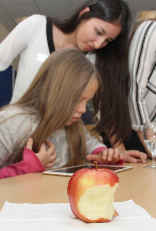 ... vom Gemeinsamen mobilen Lernen