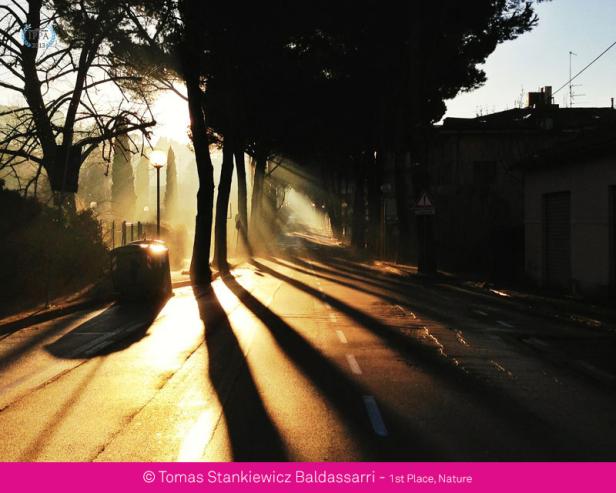 Sonnenstrahlen scheinen durch die Bäume auf einer Straße.