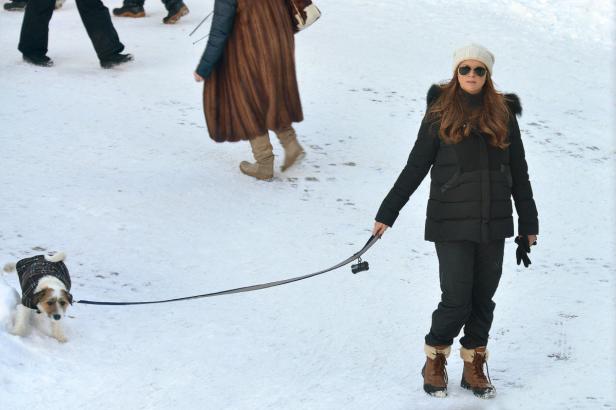Eine Frau geht mit ihrem Hund im Schnee spazieren.