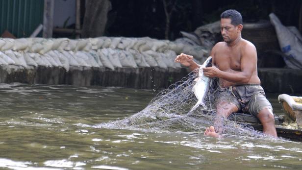Ein Fischer sitzt in einem Boot und entwirrt einen Fisch aus einem Netz.