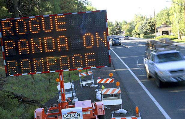 Eine elektronische Warntafel warnt vor einem „Rogue Panda On Rampage“.