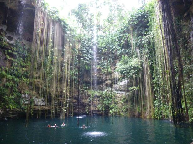 Menschen schwimmen in einem Cenote mit hängenden Pflanzen und Wasserfällen.