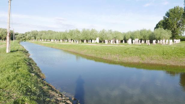 Ein Kanal fließt durch eine grüne Landschaft mit Baumstümpfen am Ufer.