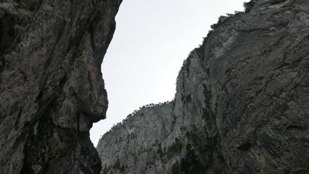 Blick auf steile Felswände, bewachsen mit Bäumen.