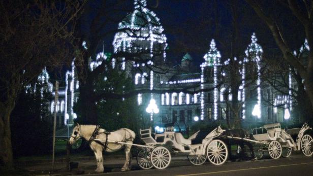 Pferdegespanne stehen nachts vor einem mit Lichtern geschmückten Gebäude.