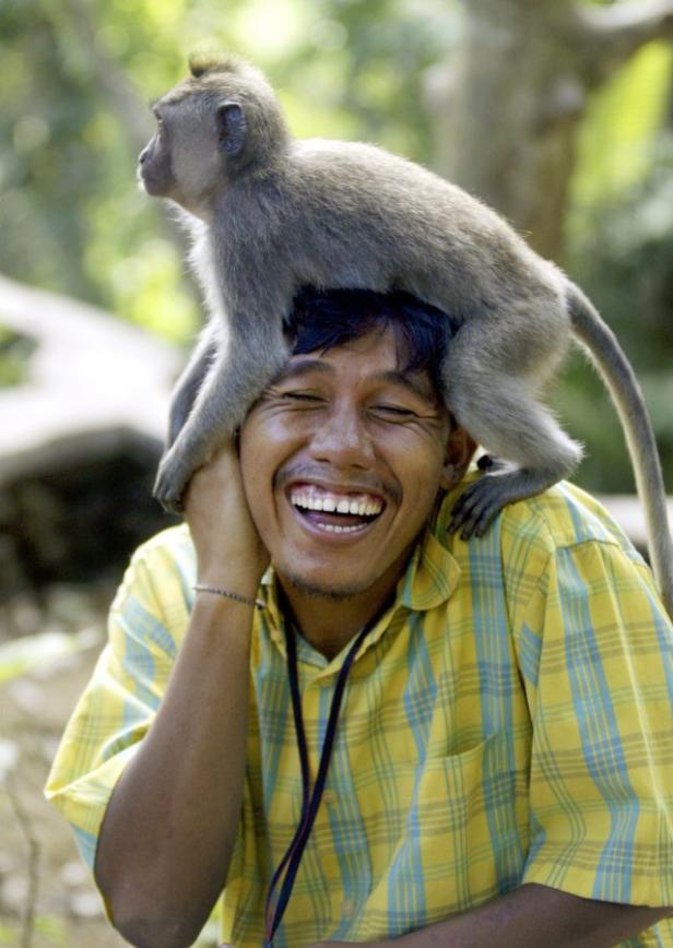 Ein Mann lacht, während ein Affe auf seinem Kopf sitzt.