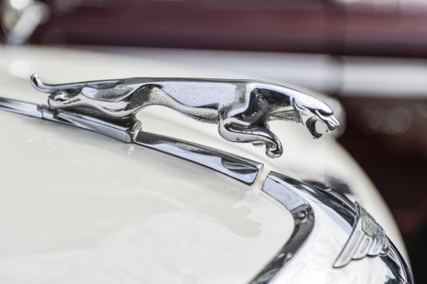 Eine verchromte Jaguar-Kühlerfigur auf einem Oldtimer.