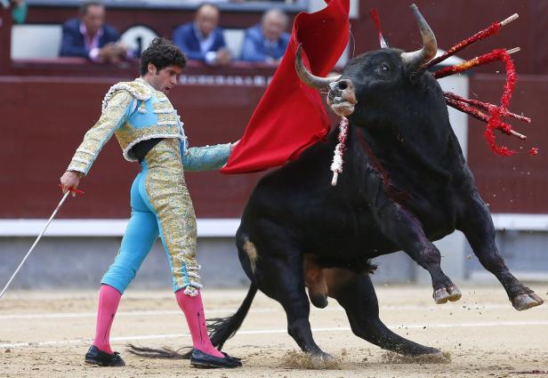 Ein Matador mit rotem Tuch steht einem Stier in einer Arena gegenüber.
