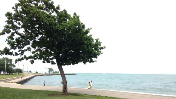 Ein Paar spaziert an einem sonnigen Tag am Ufer entlang.