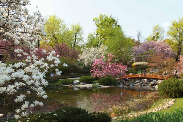 Die schönsten Gärten und Parks in Wien