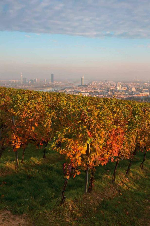 Die schönsten Gärten und Parks in Wien