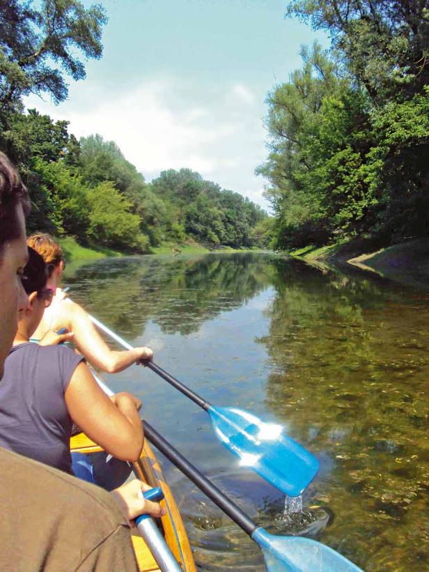 Die schönsten Gärten und Parks in Wien