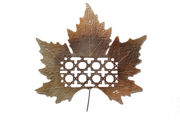 Ein braunes Ahornblatt mit einem ausgeschnittenen Rattanmuster.