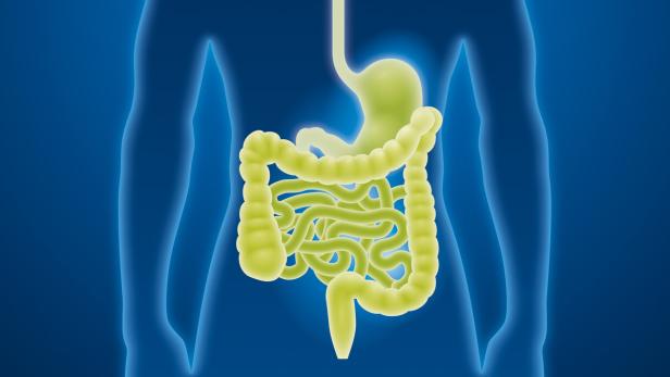 Gesund durch Bewegung: 1000 Schritte in zehn Minuten