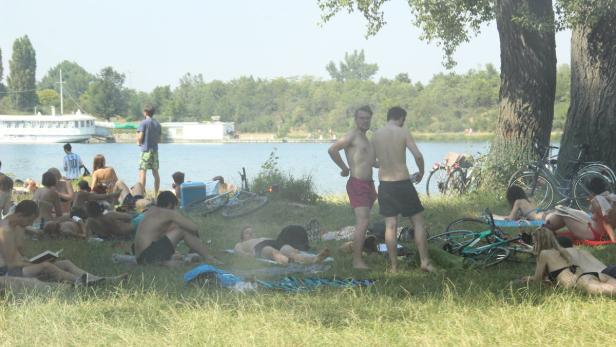Sommer auf der Donauinsel