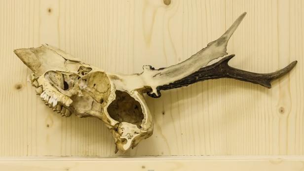 Sandstrahler baut Gegenstände schichtweise ab