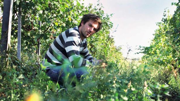 Ein Mann hockt in einem Weinberg und blickt in die Kamera.