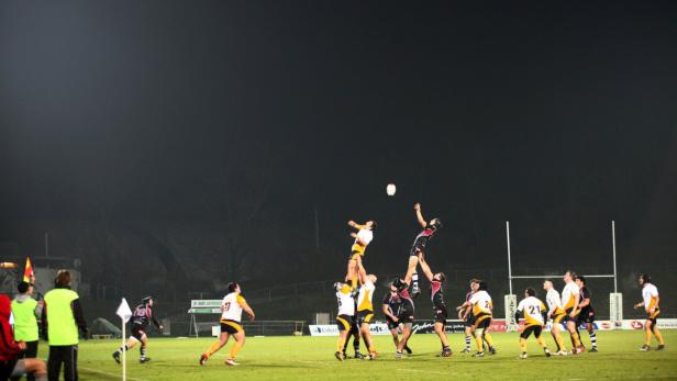 Rugbyspieler kämpfen um den Ball bei einem Einwurf.