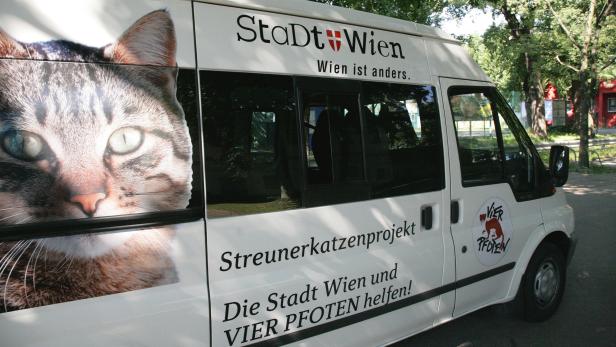 Wien öffnet wieder seine "Katzenhotels"