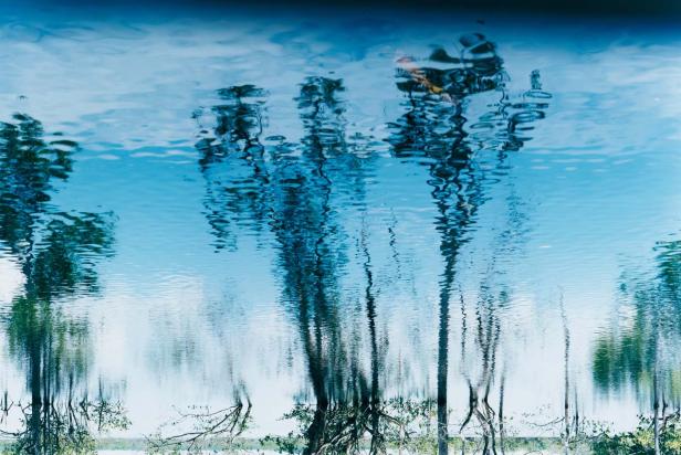 Das Spiegelbild von Bäumen im ruhigen Wasser eines Sees.