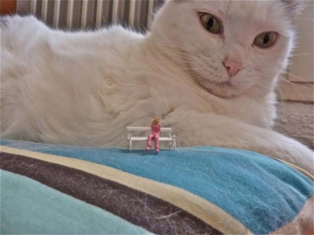 Eine Miniaturfrau sitzt auf einer Bank vor einer riesigen, weißen Katze.