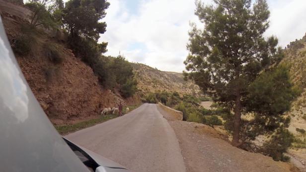 Eine Schafherde grast am Straßenrand in einer bergigen Landschaft.