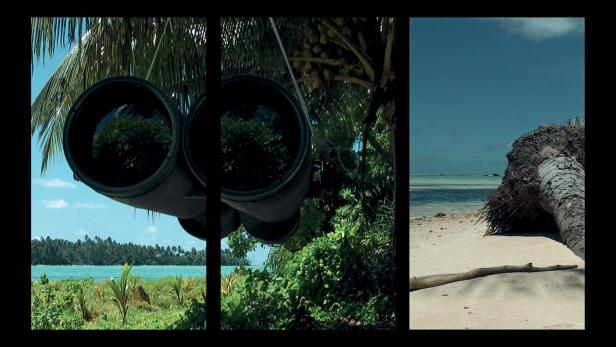 Ein geteiltes Bild zeigt eine tropische Landschaft und ein großes Fernglas.