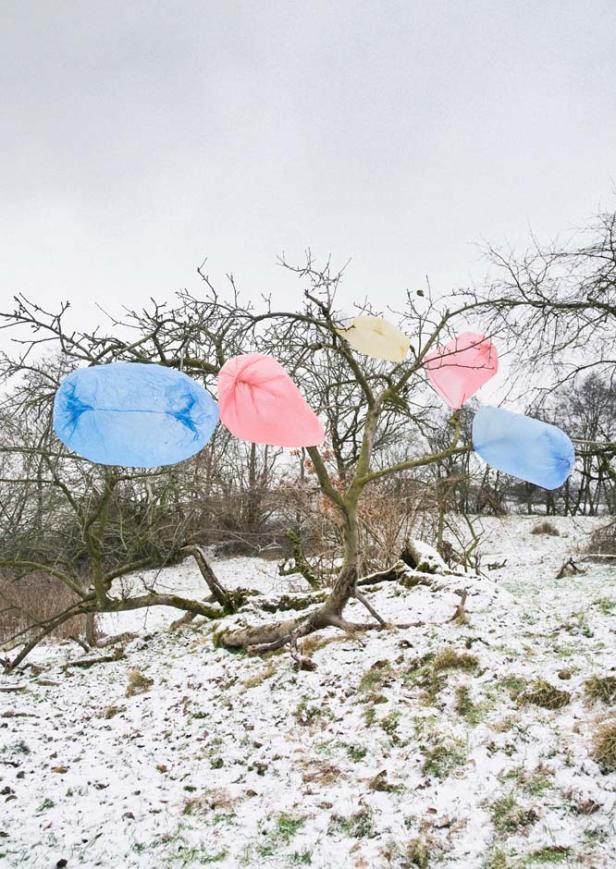 Mehrfarbige Plastiktüten hängen in einem kahlen Baum in einer verschneiten Landschaft.