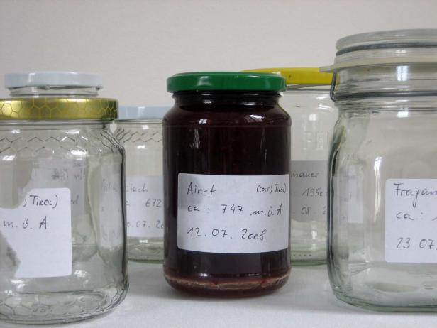 Mehrere beschriftete Einmachgläser stehen auf einem Regal.