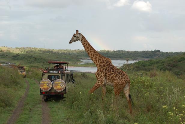 In Tansania Afrikas Wildnis mit Komfort erleben