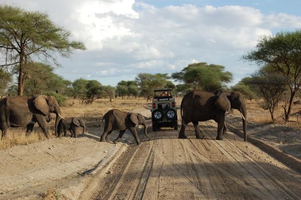 In Tansania Afrikas Wildnis mit Komfort erleben