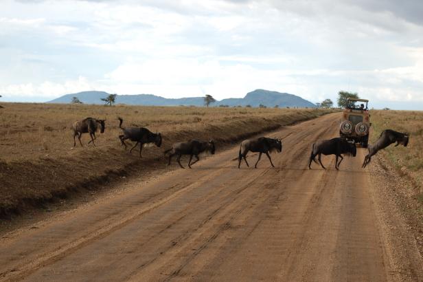 In Tansania Afrikas Wildnis mit Komfort erleben