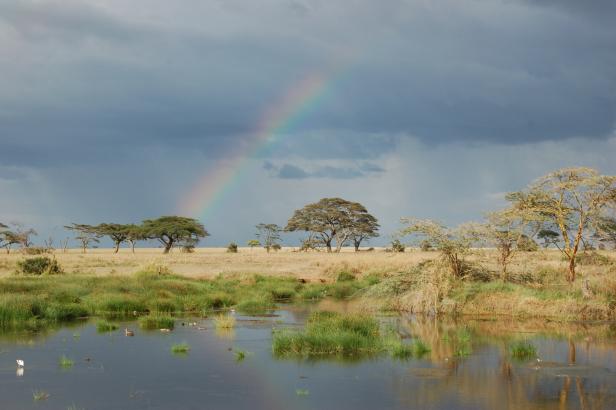 In Tansania Afrikas Wildnis mit Komfort erleben