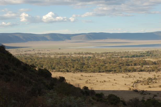 In Tansania Afrikas Wildnis mit Komfort erleben