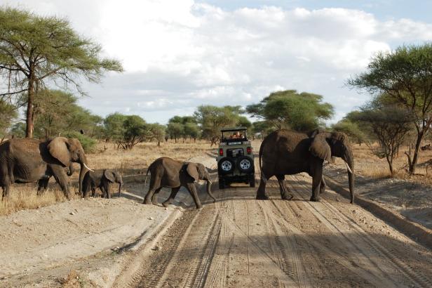 In Tansania Afrikas Wildnis mit Komfort erleben