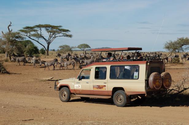 In Tansania Afrikas Wildnis mit Komfort erleben