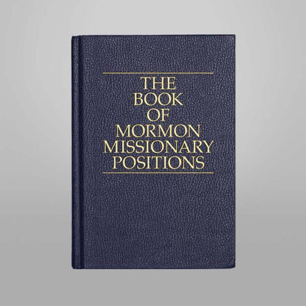 Das Buch „The Book of Mormon Missionary Positions“ mit goldenen Buchstaben auf blauem Einband.
