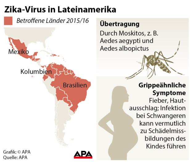 Eine Infografik über das Zika-Virus in Lateinamerika, seine Übertragung und Symptome.