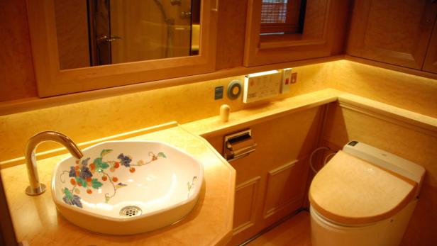 Ein Badezimmer mit einem verzierten Waschbecken und einer Toilette mit Bidetfunktion.